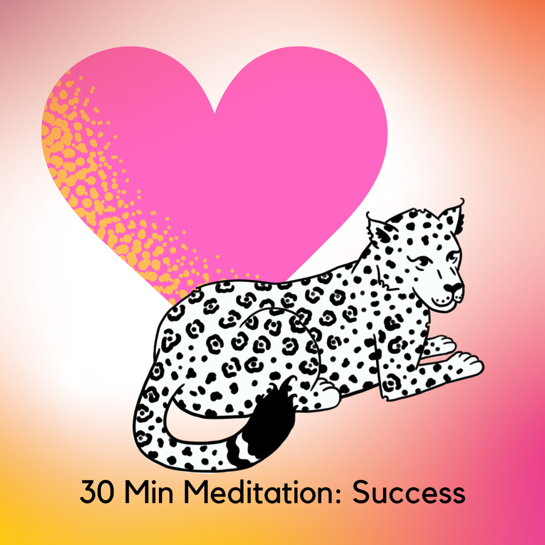 30 min Success guided meditation