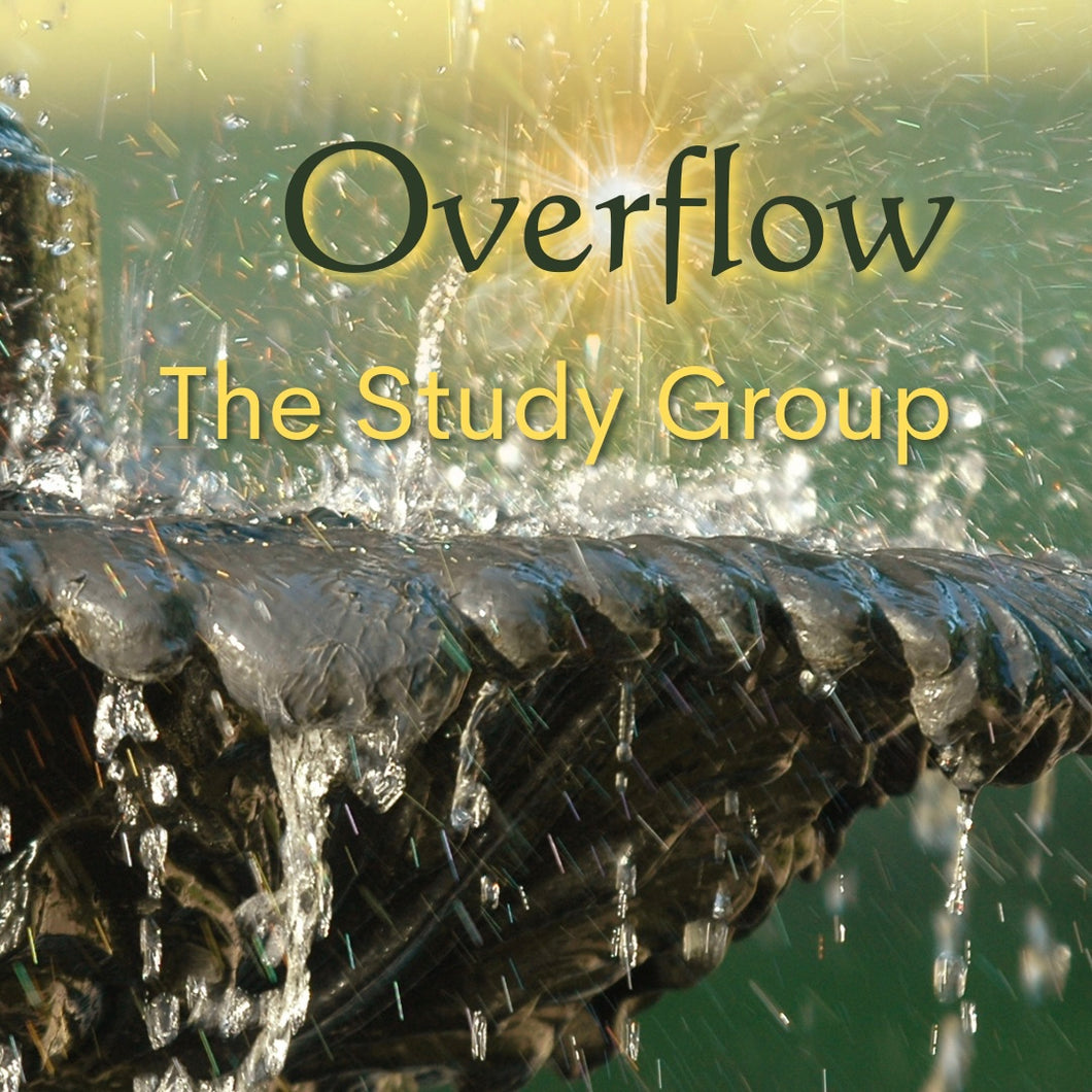 Overflow Study Group In Person